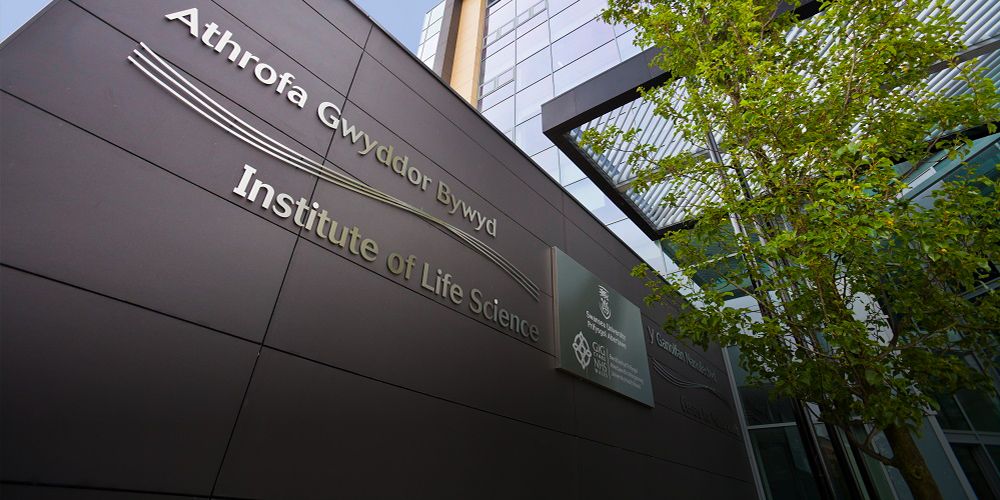 Pickfords moves Swansea University